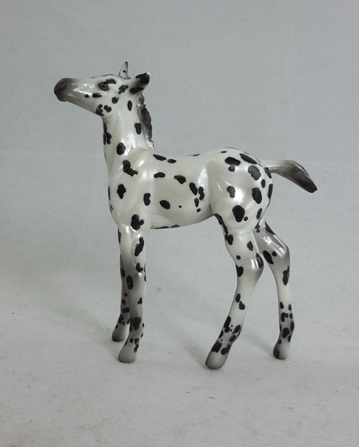 PTA PLAY THING - OOAK Appaloosa Model Horse - Foal Chip