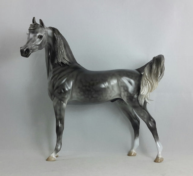 TANTALIZING TUTOR - OOAK Dark Dapple Gray Arabian