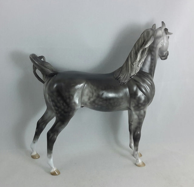 TANTALIZING TUTOR - OOAK Dark Dapple Gray Arabian