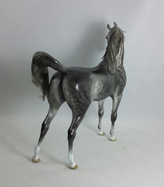 TANTALIZING TUTOR - OOAK Dark Dapple Gray Arabian