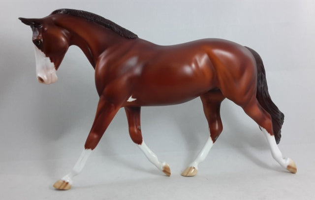 LUNCH BUNNIE - Chestnut Sabino Palouse