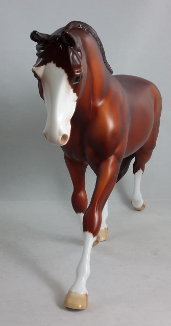 LUNCH BUNNIE - Chestnut Sabino Palouse