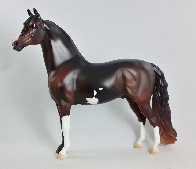 LAST GETAWAY - Extreme Custom Morgan Horse