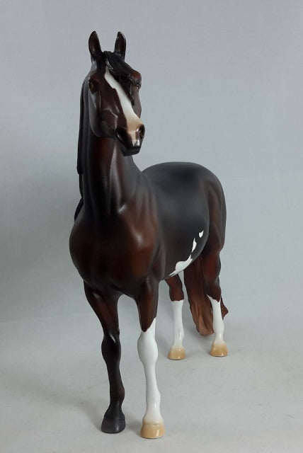 LAST GETAWAY - Extreme Custom Morgan Horse