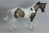 JAZZ HANDS - OOAK Thoroughbred Pinto by D&#39;Arry Jone Frank