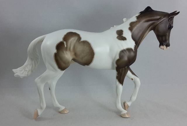 JAZZ HANDS - OOAK Thoroughbred Pinto by D'Arry Jone Frank