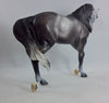 LADY SPUTNIK - OOAK Dapple Gray Thoroughbred with Fine Etching