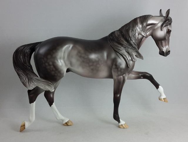 JUSTICE - Dapple Gray Thoroughbred