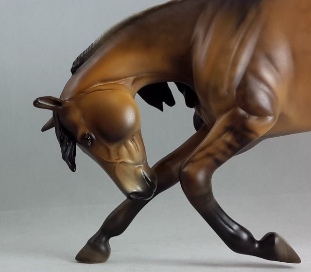 HOMELAND - Frosty Dun Bowing Horse