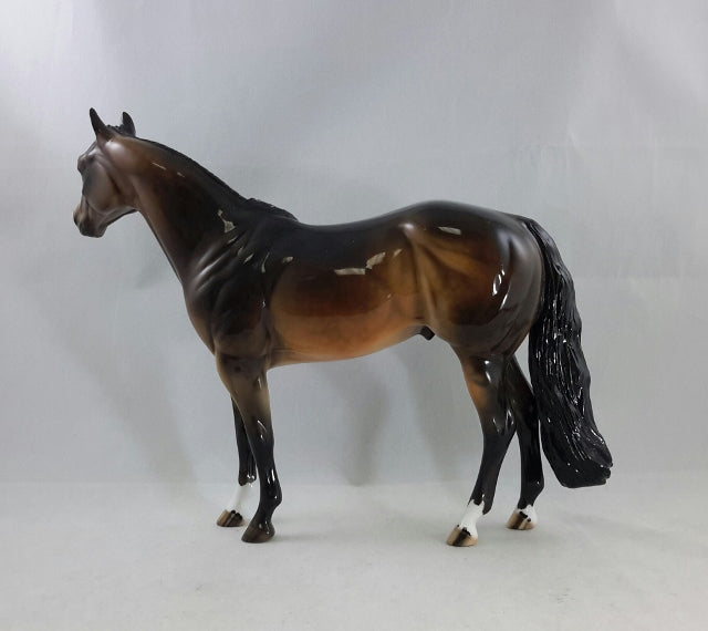 HARKER - OOAK Seal Bay Stock Horse