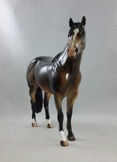 HARKER - OOAK Seal Bay Stock Horse
