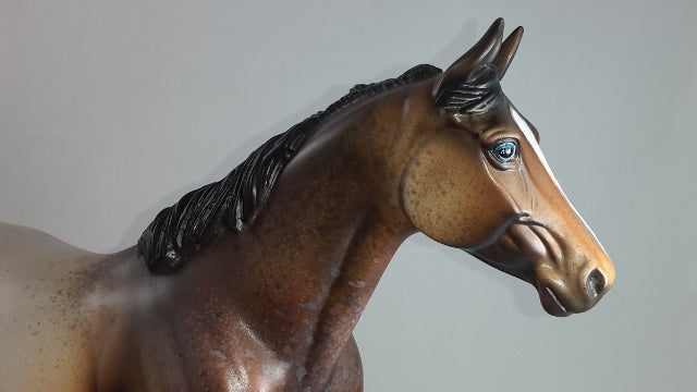 ASSASSIN BUG - OOAK Roan Palouse