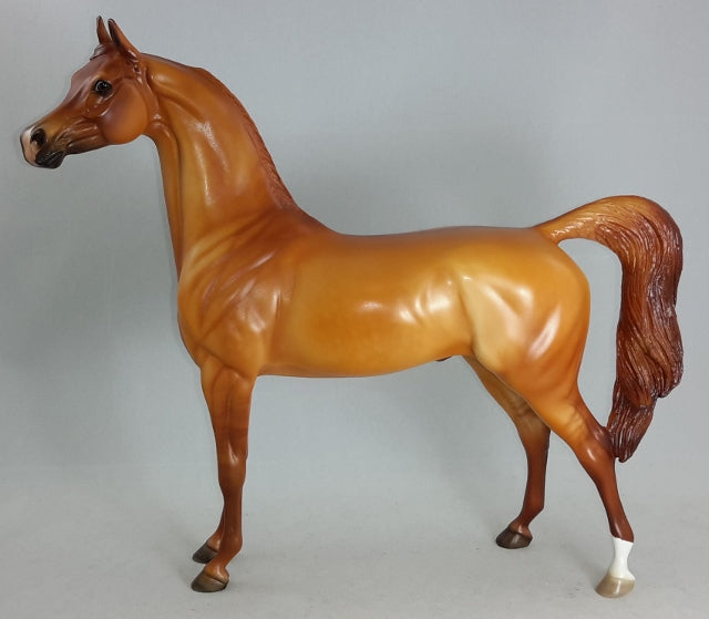 SRIRACHA - Red Dun Arabian Model Horse