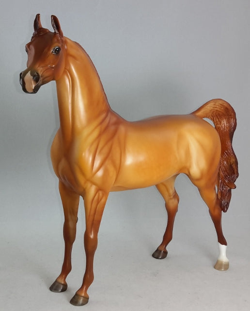 SRIRACHA - Red Dun Arabian Model Horse