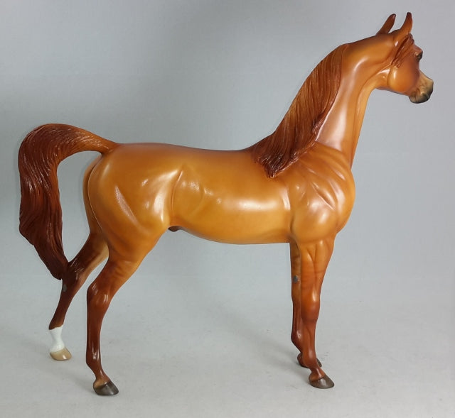 SRIRACHA - Red Dun Arabian Model Horse