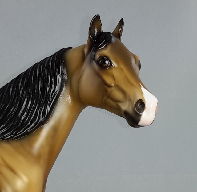 HABANERO ALTER EGO - Sooty Buckskin Stock Model Horse