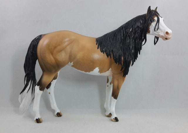 HARISSA - OOAK BUCKSKIN SPLASH OVERO STOCK HORSE