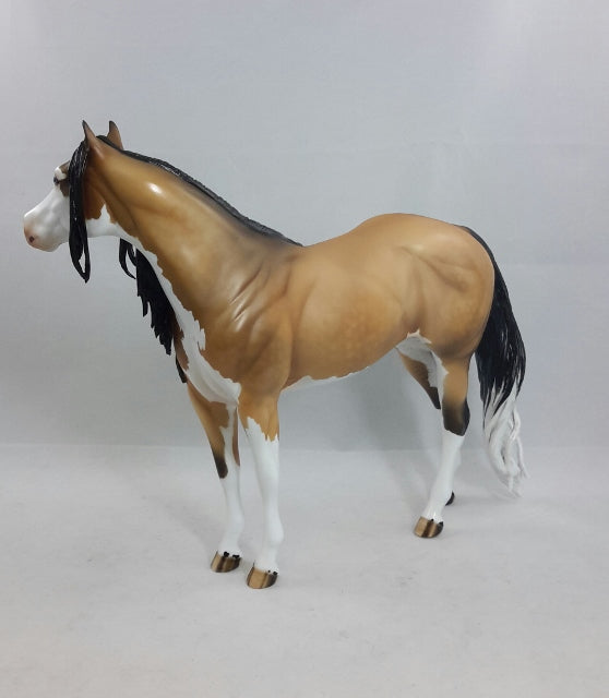 HARISSA - OOAK BUCKSKIN SPLASH OVERO STOCK HORSE