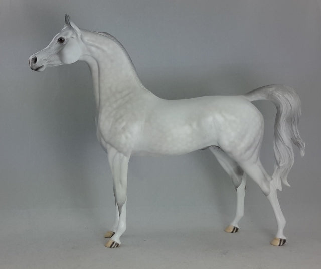 URFA BIBER - OOAK Dapple Gray Arabian*