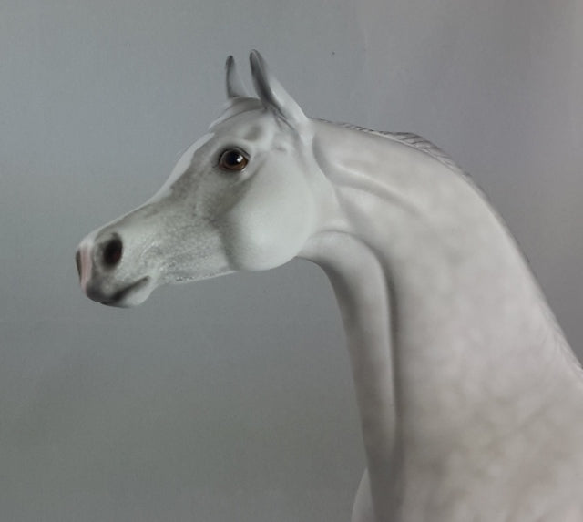 URFA BIBER - OOAK Dapple Gray Arabian*