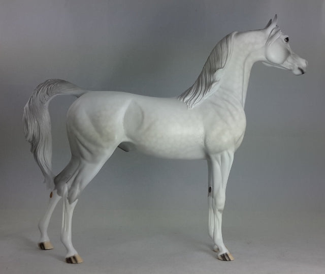 URFA BIBER - OOAK Dapple Gray Arabian*