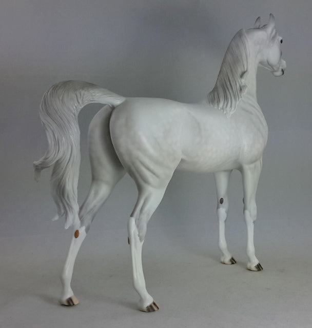 URFA BIBER - OOAK Dapple Gray Arabian*
