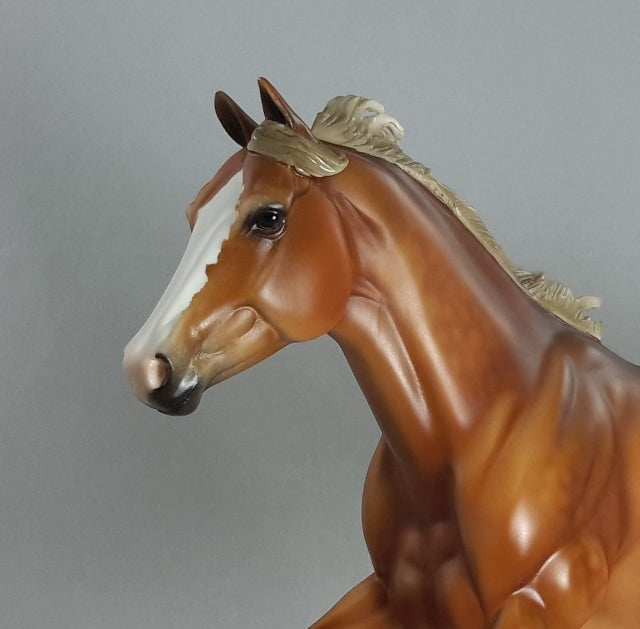 MYRRH-I-A - OOAK Chestnut Appaloosa