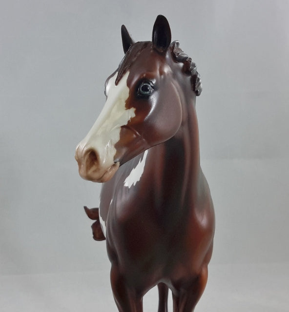 MORITA - OOAK Chestnut Overo Stock Horse