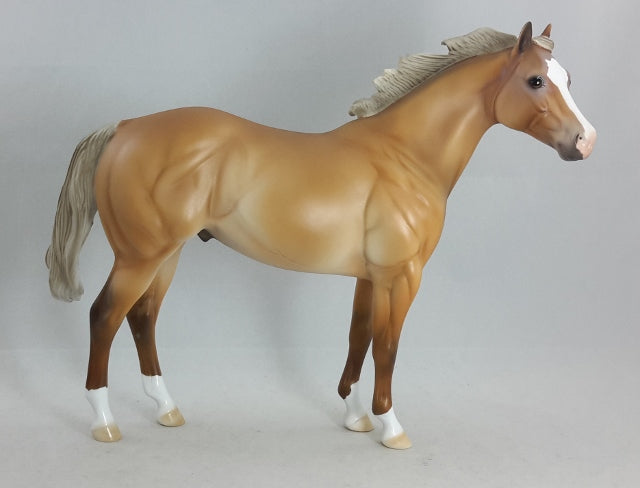 TACO - Sooty Palomino Stock Horse