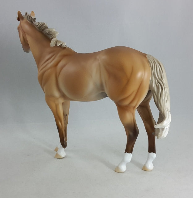 TACO - Sooty Palomino Stock Horse