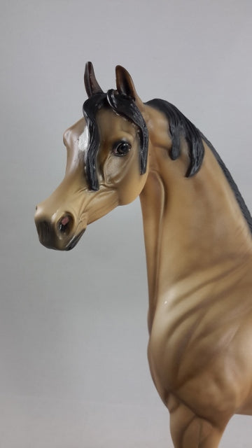 CHEVRIL - OOAK Sooty Buckskin Arabian