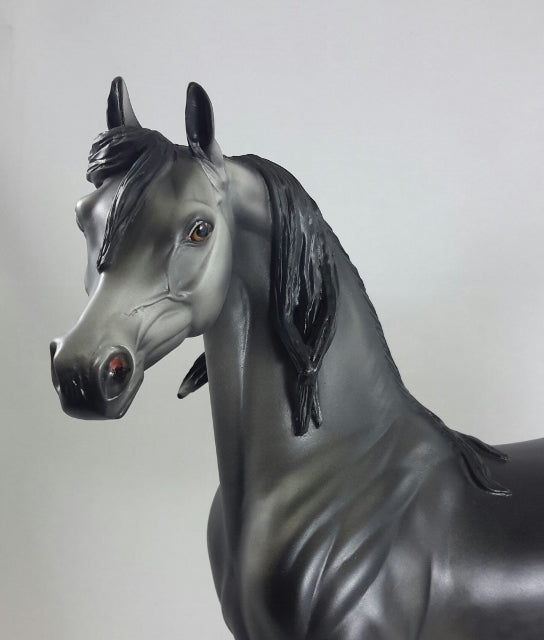BLACK PEPPER - OOAK Dark Dapple Gray Arabian