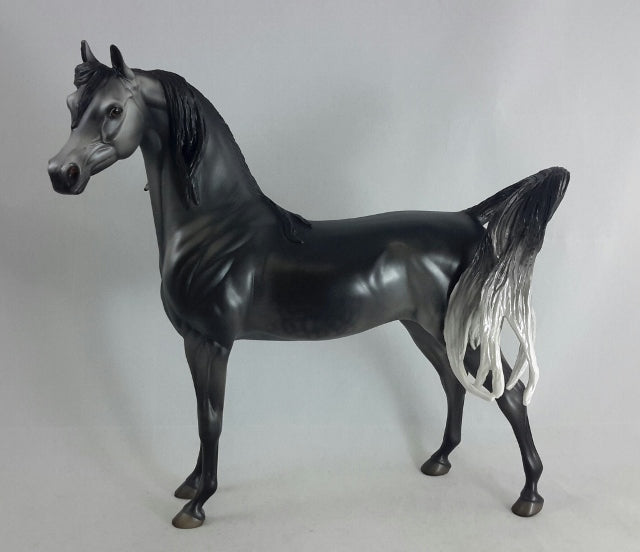 BLACK PEPPER - OOAK Dark Dapple Gray Arabian