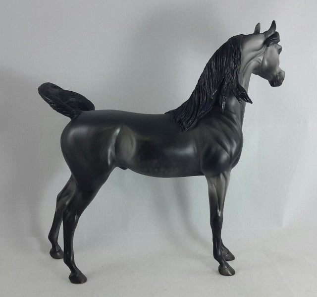 BLACK PEPPER - OOAK Dark Dapple Gray Arabian