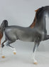 CARAWAY - Chestnut Sabino Going Gray Saddlebred Model Horse - Fall Edition