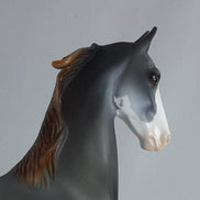 CARAWAY - Chestnut Sabino Going Gray Saddlebred Model Horse - Fall Edition