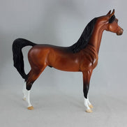 MAHARAJAH - Bay Arabian Model Horse - Fall Edition