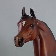 MAHARAJAH - Bay Arabian Model Horse - Fall Edition