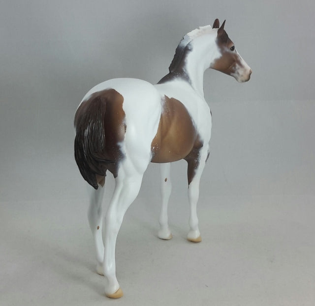 MS. FROSTY - OOAK BAY PINTALOOSA