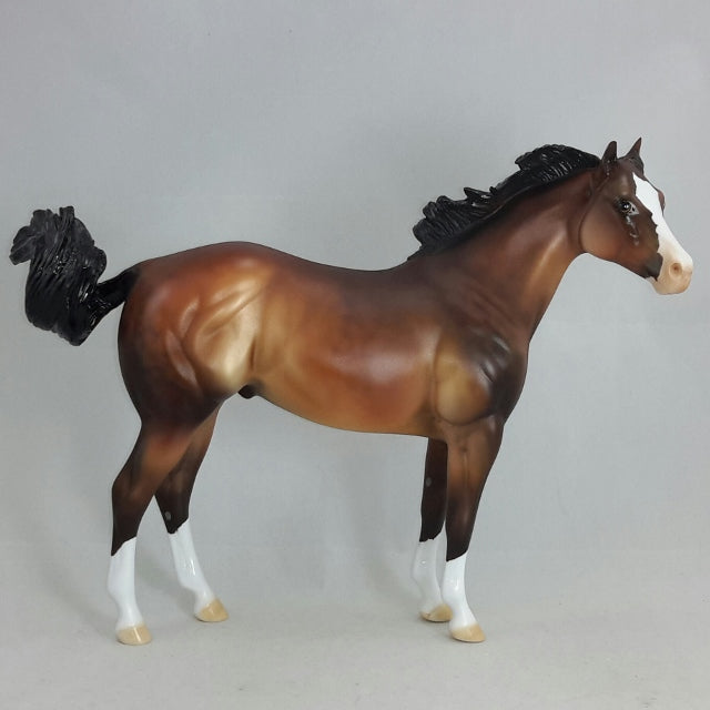 FURY - OOAK Dapple Bay Stock Horse