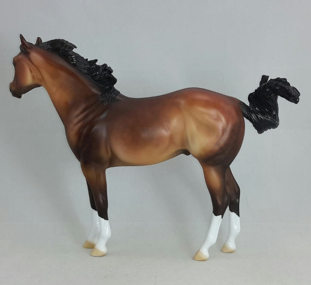 FURY - OOAK Dapple Bay Stock Horse