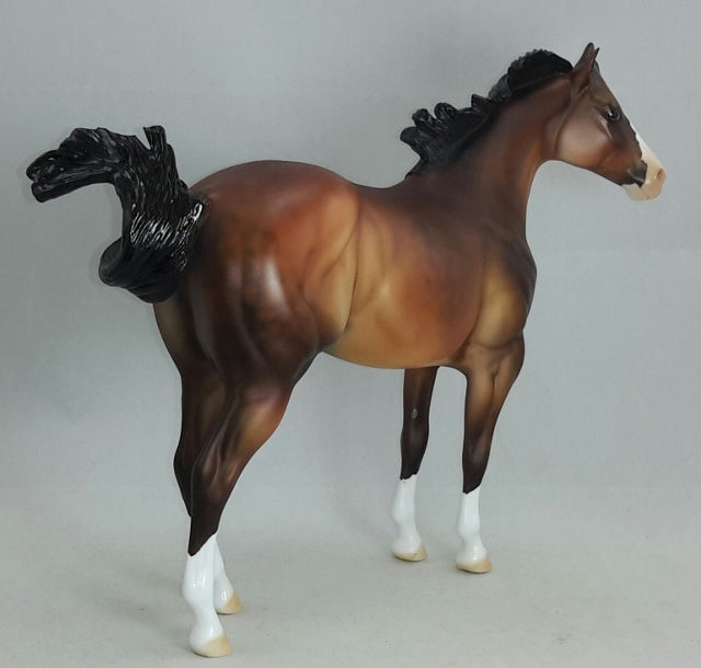 FURY - OOAK Dapple Bay Stock Horse