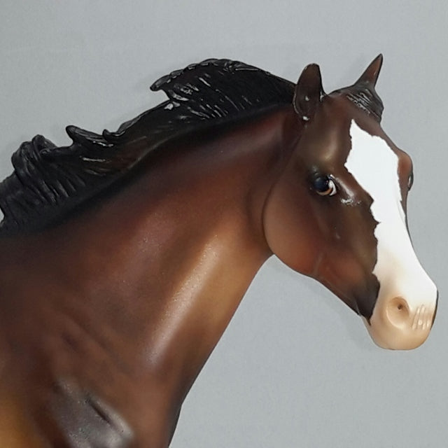FURY - OOAK Dapple Bay Stock Horse