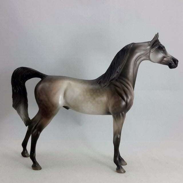 STARLIGHT - OOAK Dapple Gray Arabian