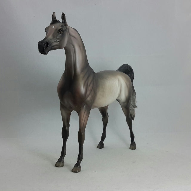 STARLIGHT - OOAK Dapple Gray Arabian