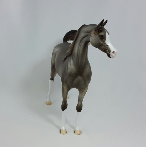 PLYMOUTH - OOAK Gray Flea Bit Arabian