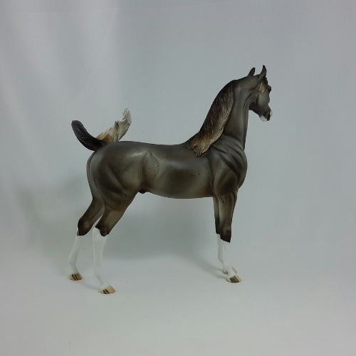 PLYMOUTH - OOAK Gray Flea Bit Arabian
