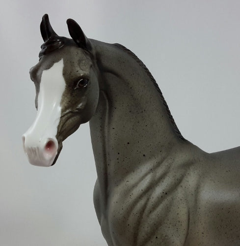 PLYMOUTH - OOAK Gray Flea Bit Arabian