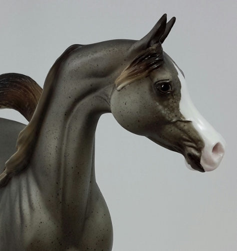 PLYMOUTH - OOAK Gray Flea Bit Arabian