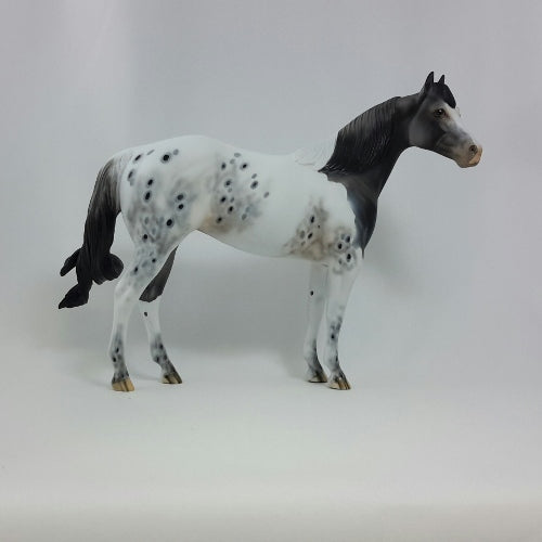 CORNUCOPIA - OOAK Gray Appaloosa Stock Horse